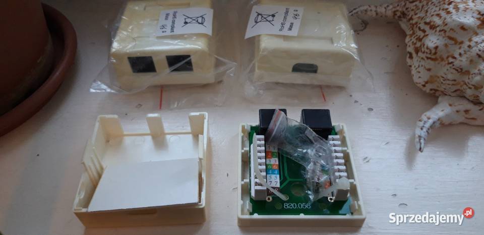 Gniazdo komputerowe LAN 2xRJ45 kat5e Warszawa sprzedam