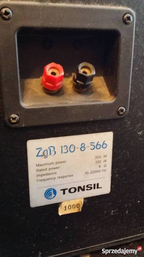 Kolumny Tonsil Scherzo 200 śląskie Gliwice sprzedam