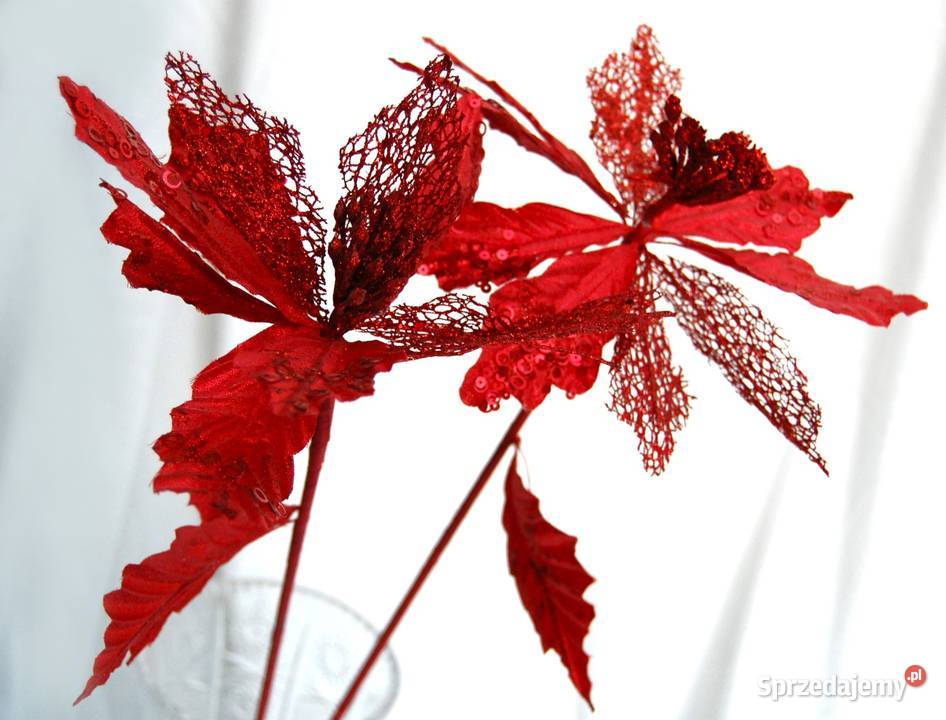 Gwiazda betlejemska na piku 72 dekoracja Lublin