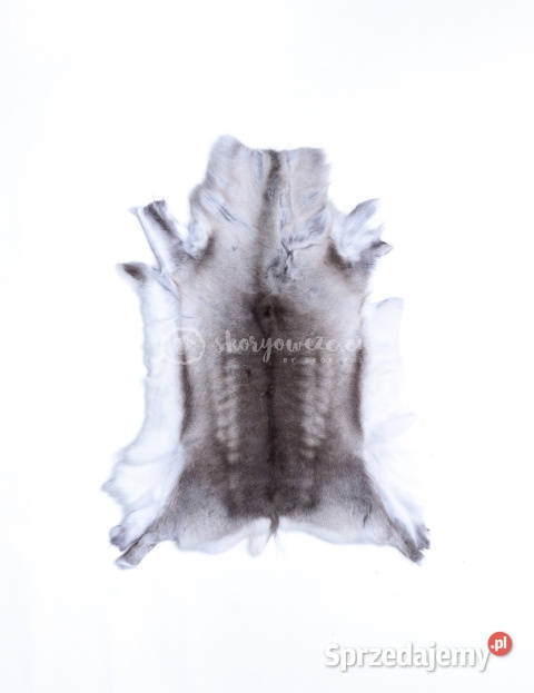 Dekoracyjna skóra z renifera renifer