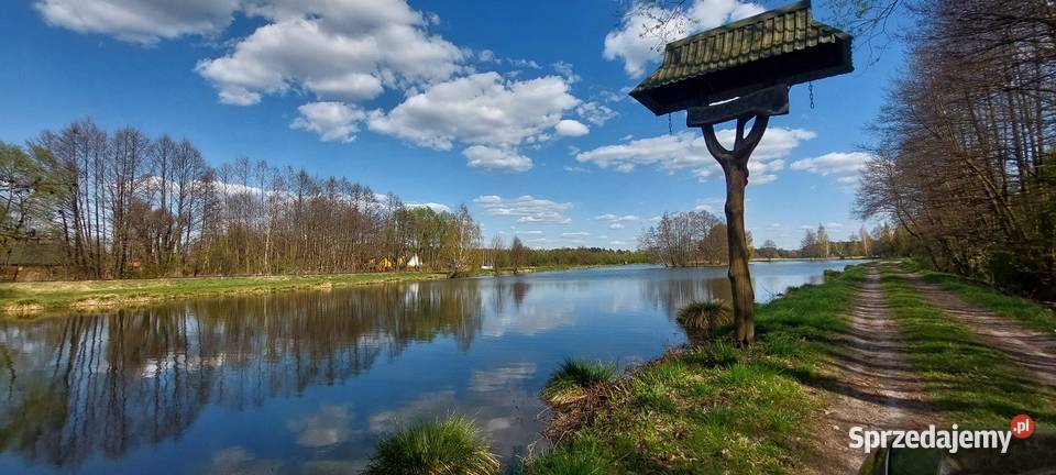 Działka budowlana na Roztoczu z własnym stawem Zatyle