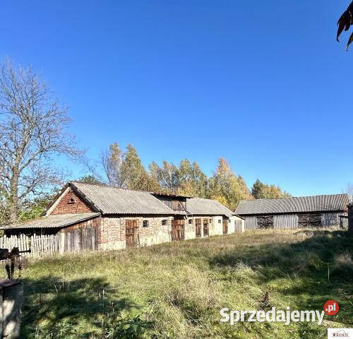 Ogłoszenie dom wolnostojący Stare Groszki 100m2