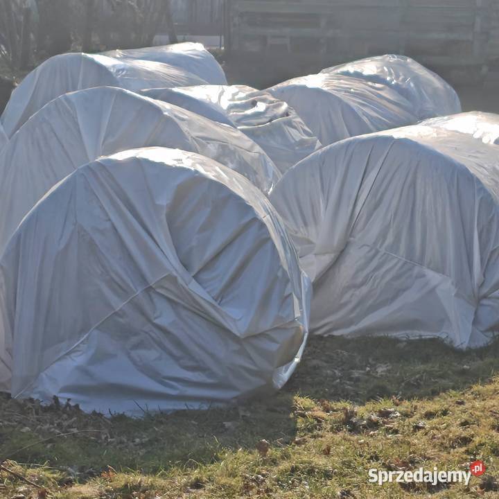 Bele sianokiszonka lucerna i koniczyna baloty Trawy, słoma Nowe Hołowczyce sprzedam