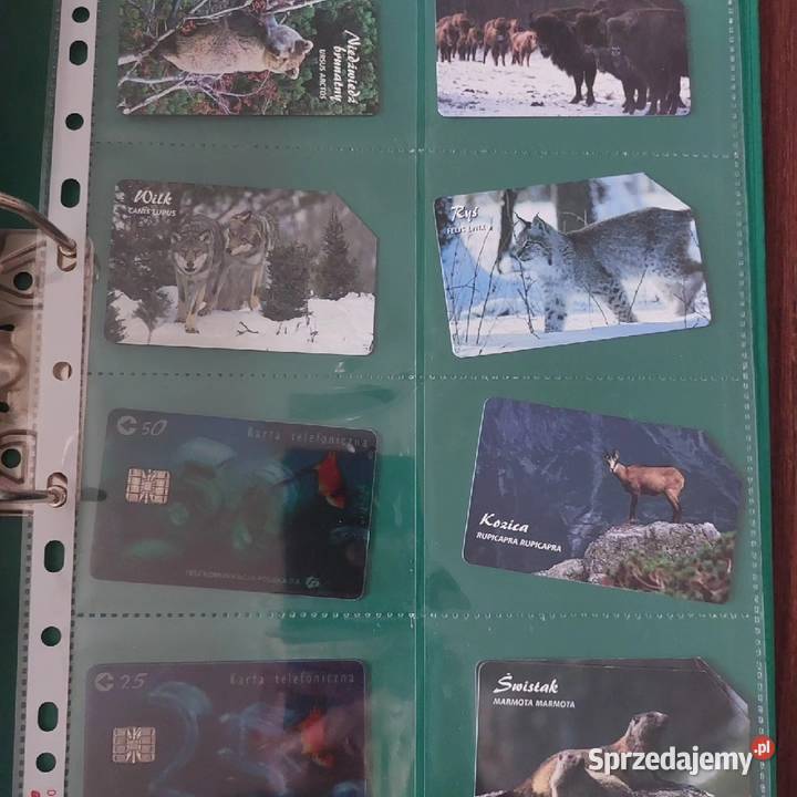 Karty telefoniczne Konin sprzedam