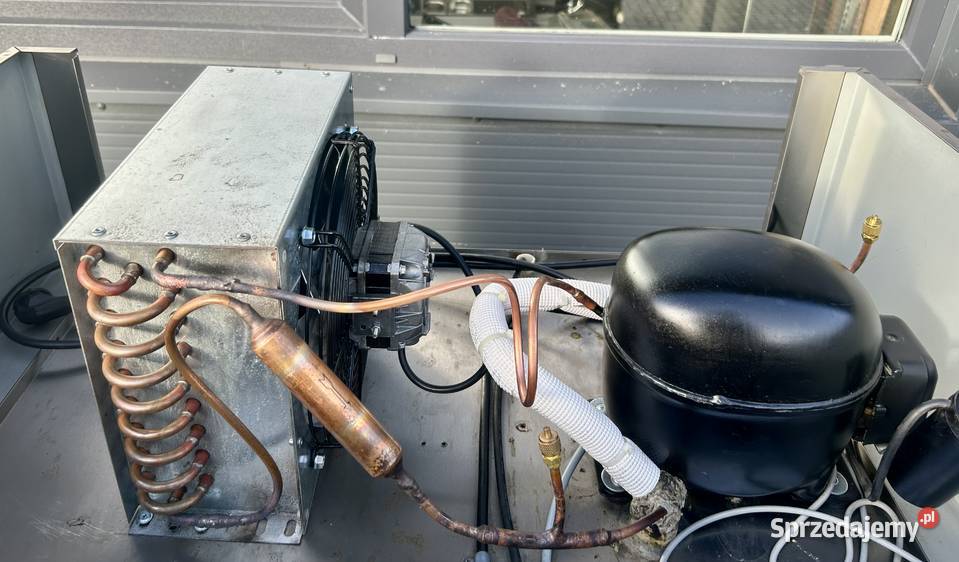 SZAFA CHŁODNICZA ACCONA 700L CHŁODNIA LODÓWKA 85 Krępsko