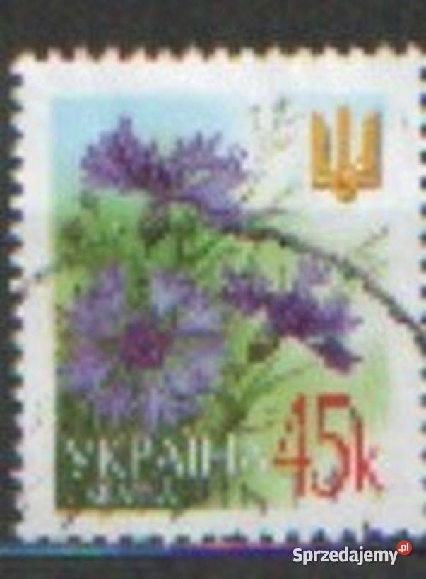 Zn Ukraina Mi kas wykaz w opisie Gliwice