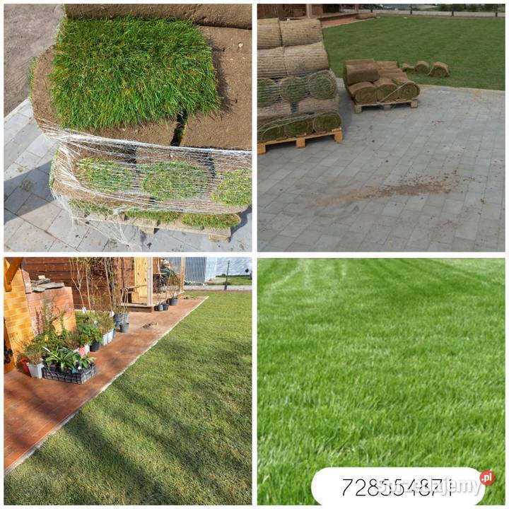 ZAKŁADANIE TRAWNIKA WYSOKIE KOŁO SIEW TRAWY mazowieckie Wysokie Koło