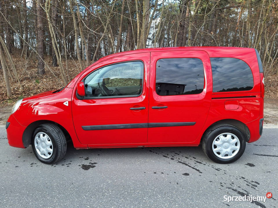 Renault Kangoo II 20072021 lakier metallic Kangoo