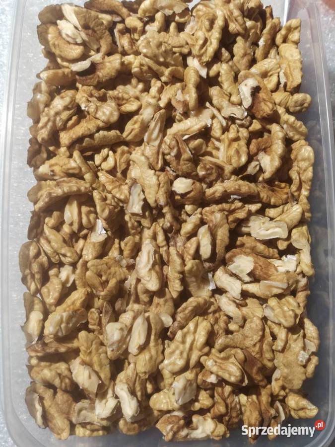 Orzech włoski łuskany ćwiartki 1 Pozostałe Dębno sprzedam