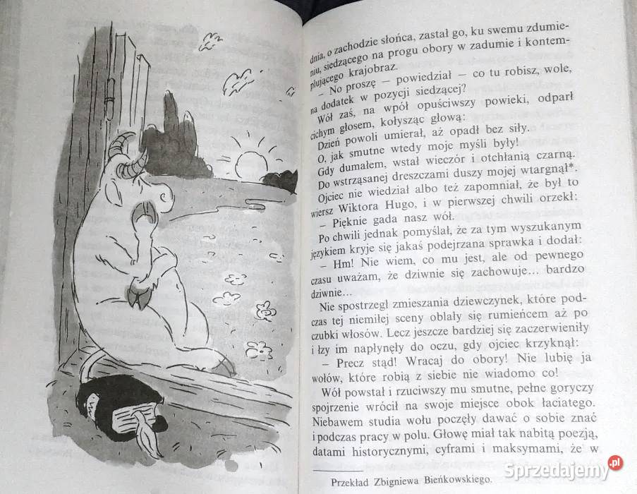 Czerwone opowieści kota ze starej wierzby Marcel Pozostałe Chełm