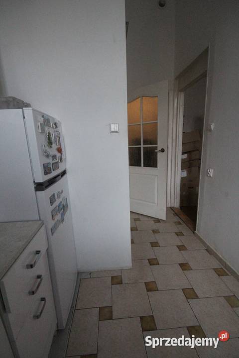 1pok 33met Placu Macieja KOMÓRKAPIWNICA Wrocław sprzedam