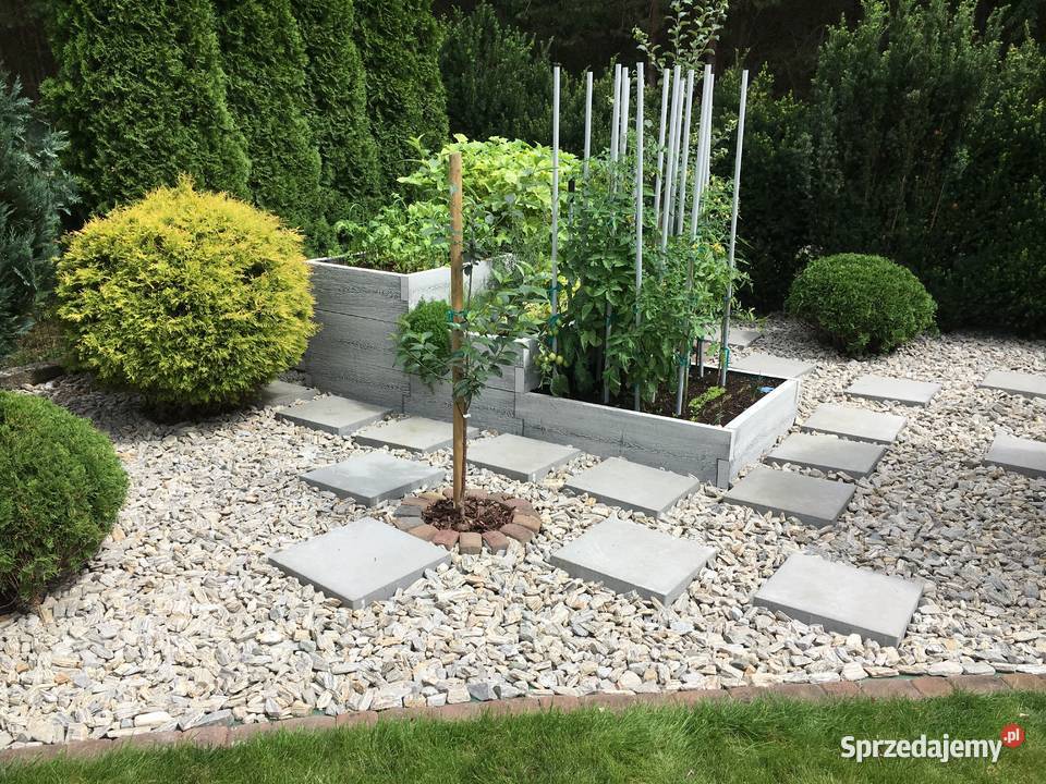 Warzywnik betonowy Skrzynia na warzywa Kielce