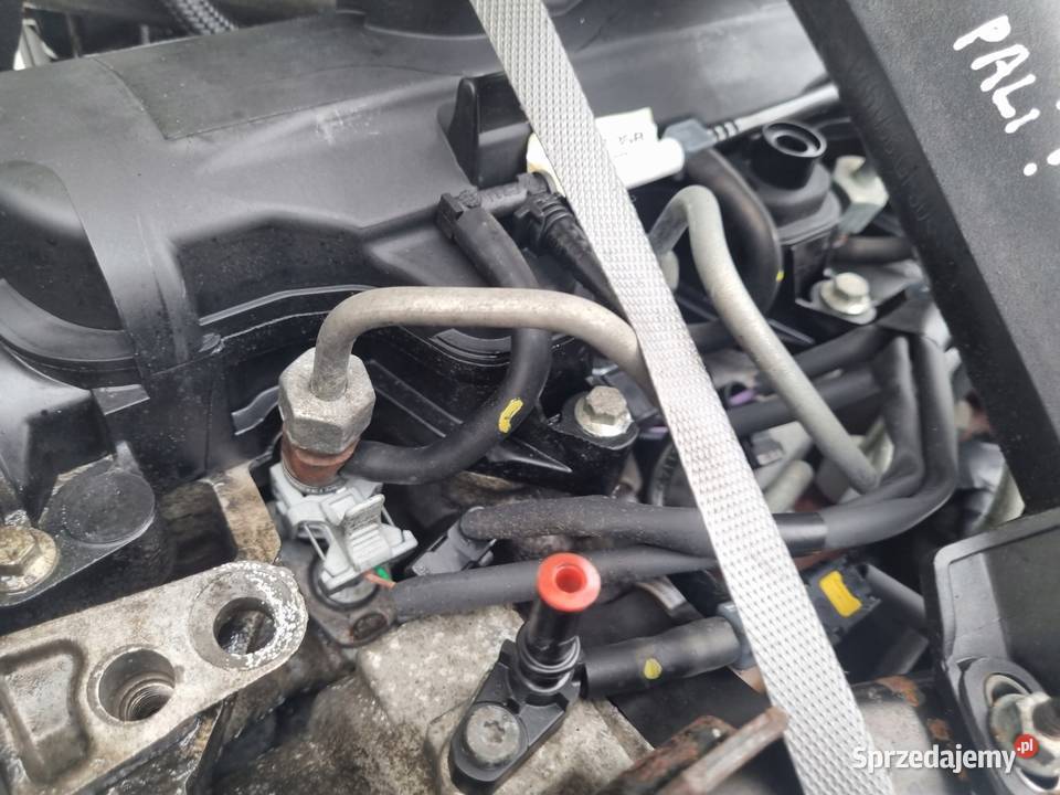 SILNIK KOMPLET Renault Fluence 15 DCI 90 Rudka