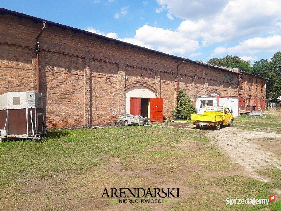 OBIEKT KOMERCYJNY NA DUŻEJ DZIAŁCE LIPKI WIELKIE lubuskie