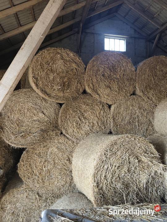 Sprzedam słomę Piątek sprzedam