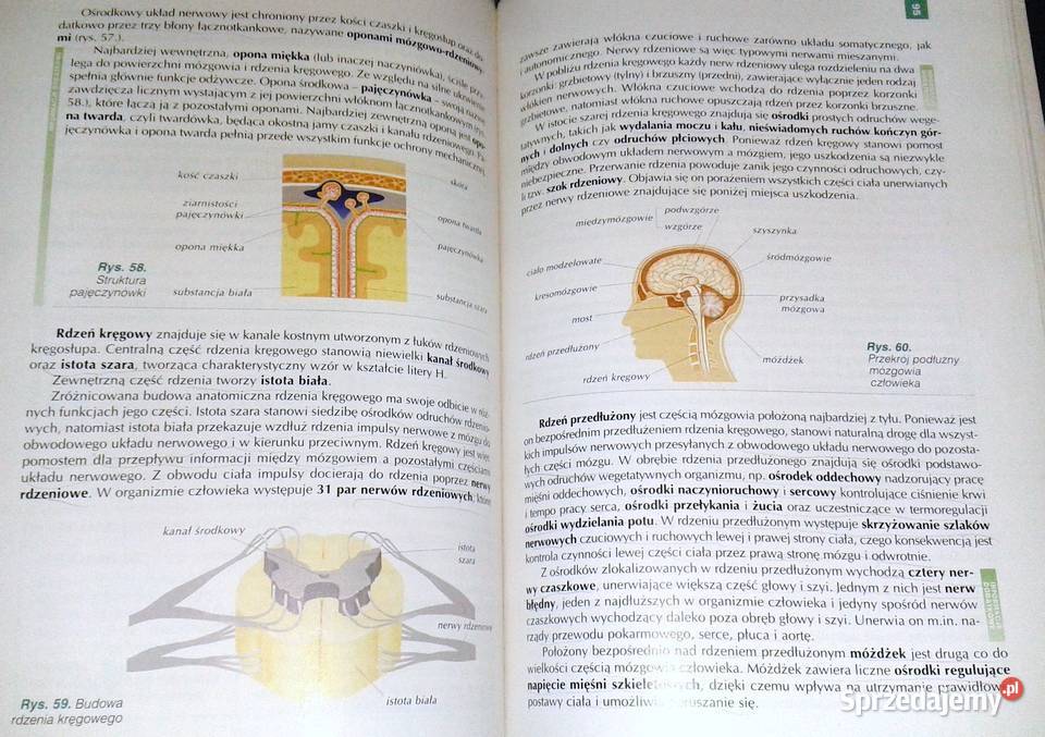 Biologia 2 A Kornaś M Kłyś LŚliwa R Konieczny Kultura i Rozrywka lubelskie Chełm