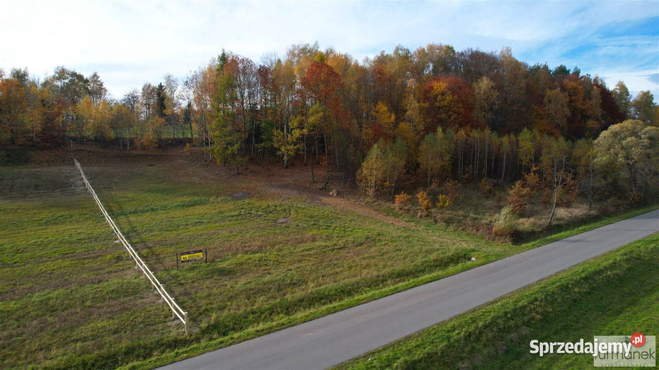 Działka 4182m2 TeodorówkaKolonia kanalizacja Nieruchomości Teodorówka-Kolonia