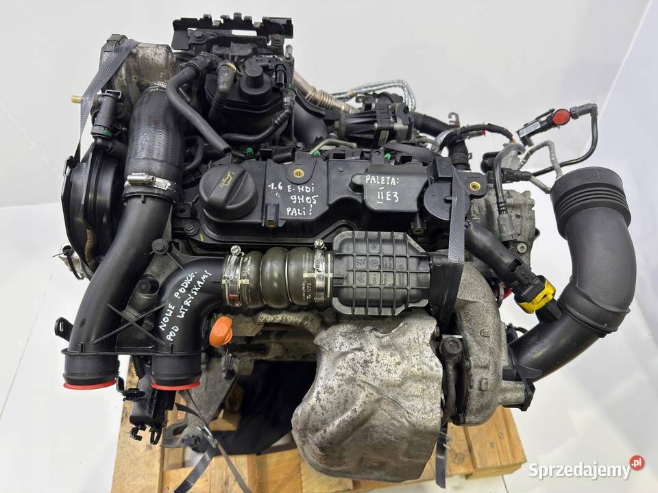 SILNIK Peugeot Partner II Citroen Berlingo 16 Rudka