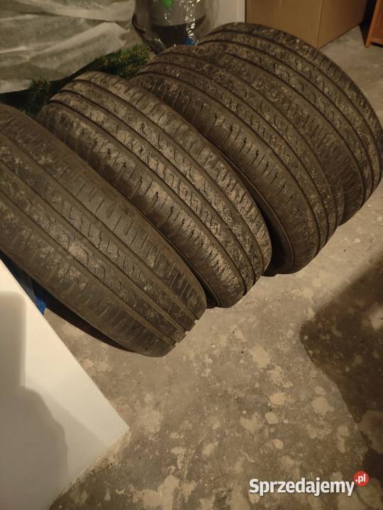 Opony letnie Barum 1756515 śląskie