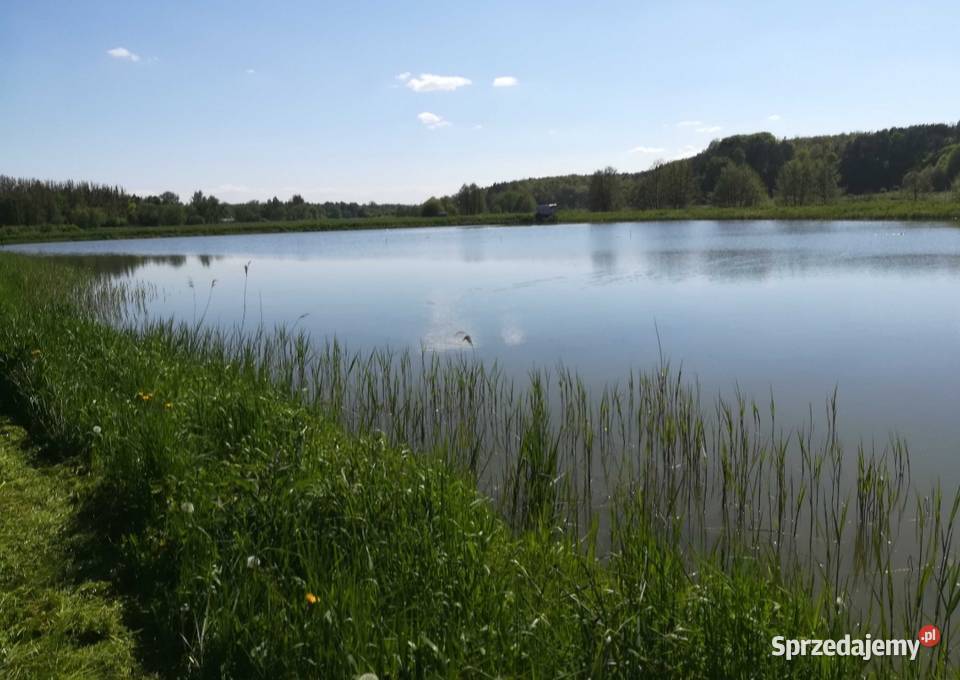 Staw o powierzchni 4 62 ha Częstoborowice