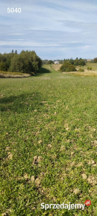 2 działki 147ha łącznie na obrzeżach Rzeszowa podkarpackie Rzeszów sprzedam