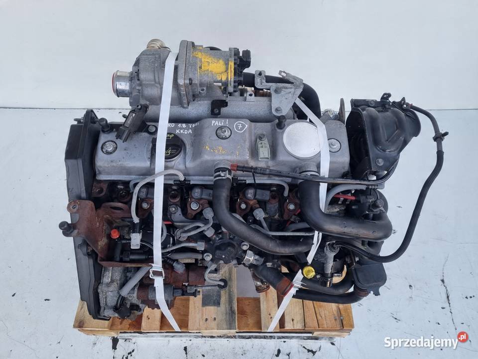 SILNIK KOMPLET Ford C C 18 TDCI 115 ładnie pali Motoryzacja