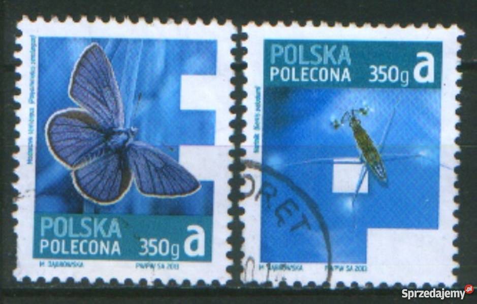 Zn Fi 4477 9 kas 2013 Gliwice