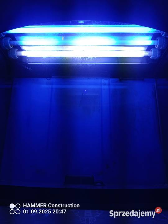 Sprzedam akwarium Morskie 60 Akwarystyka Radom