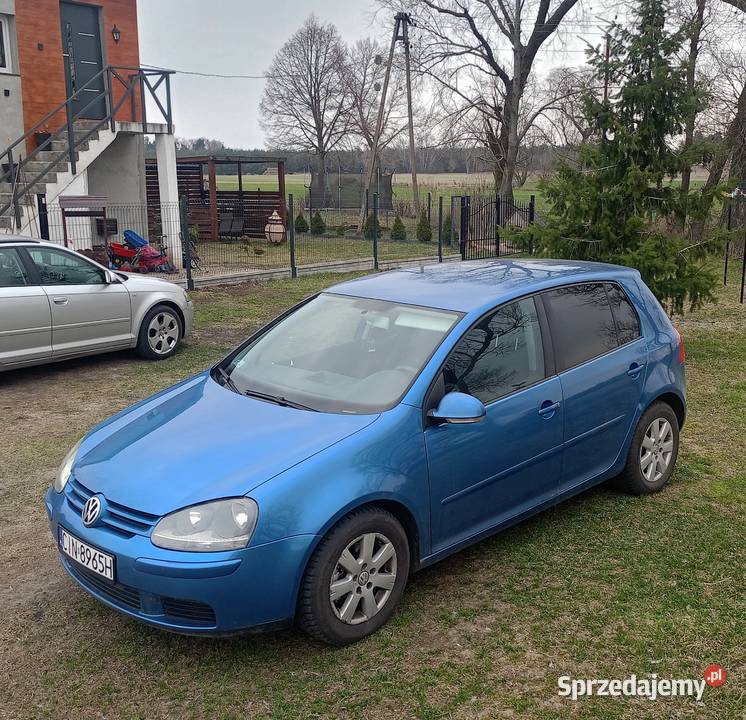 Ładny Golfik V Kruszwica