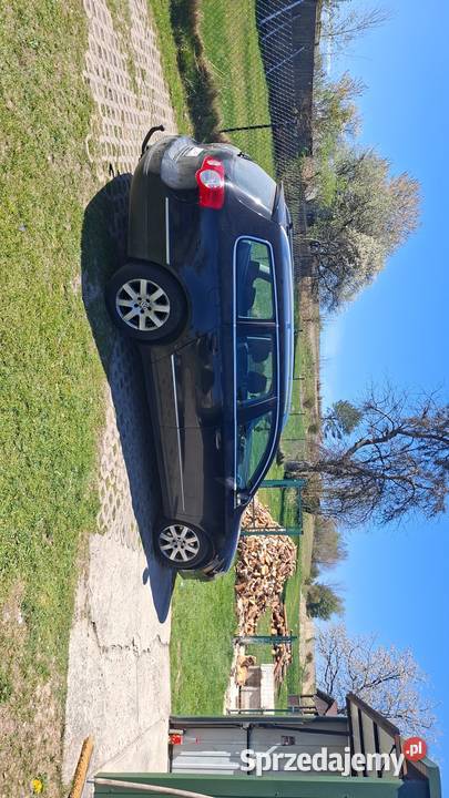 Passat b6 Ulów