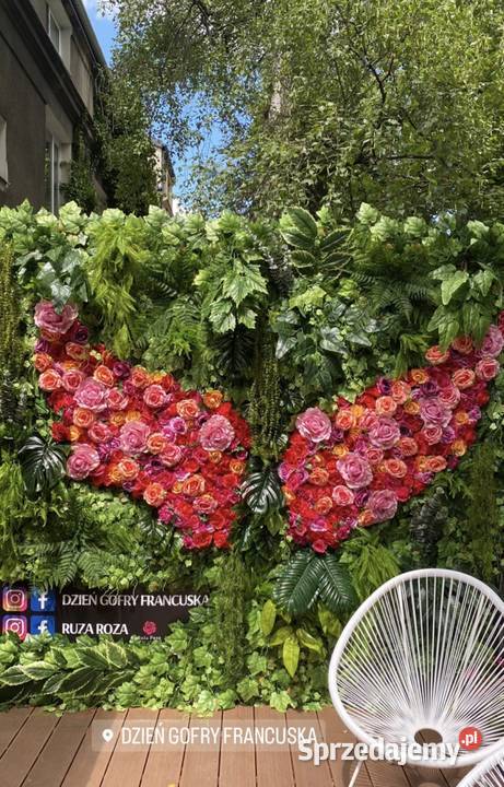 Ogród wertykalny sztuczna zielona ściana z Warszawa sprzedam