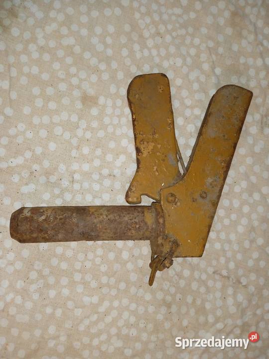 Bolec z PRLU Bizon Bizon Rekord Pruszcz Gdański