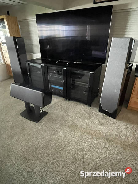 Legacy Audio Focus SE Floorstanding Speakers Torzym
