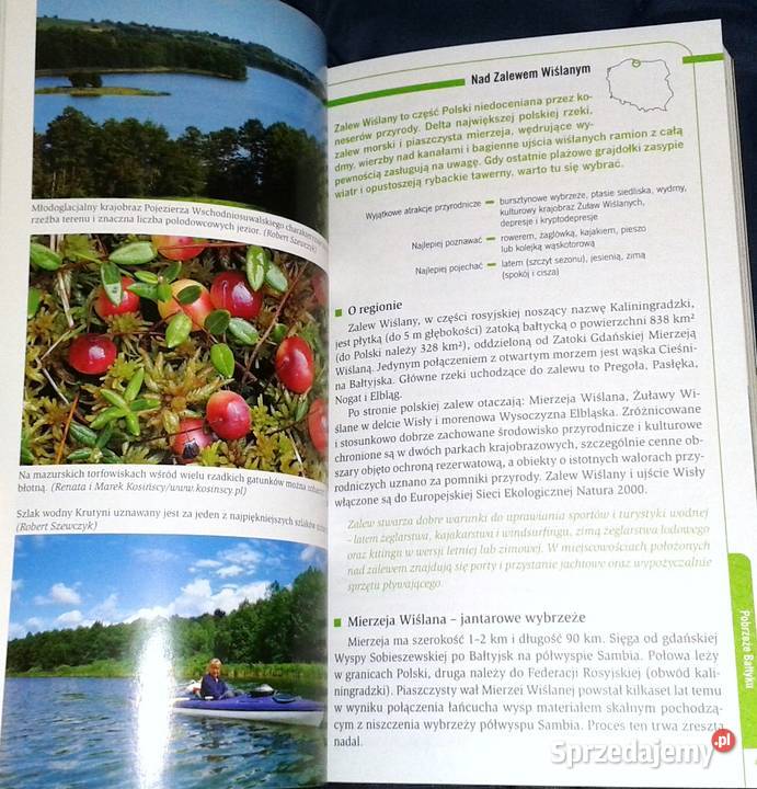 Zielona Polska Wojciech Lewandowski Robert Chełm