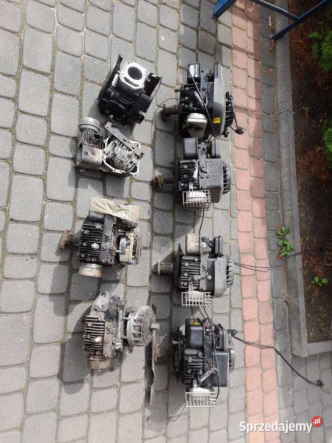 Silnik Briggs dolnozaworowy Skierniewice sprzedam