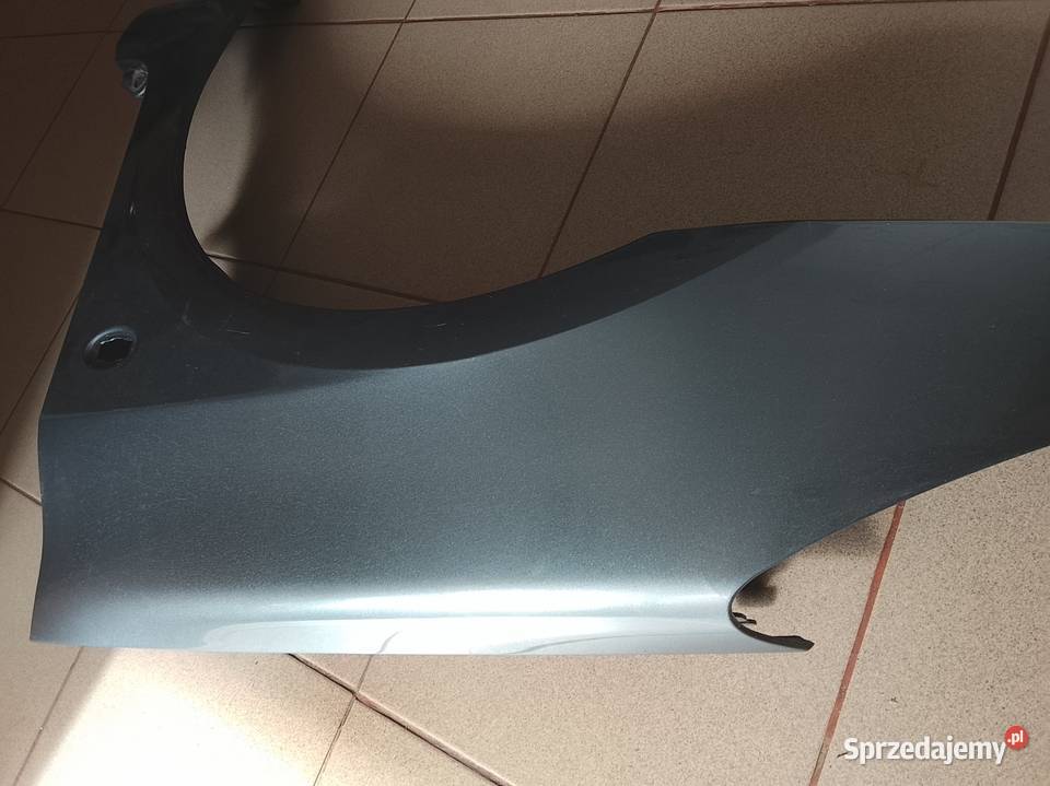 błotnik lewy peugeot 307sw Kamień-Kolonia sprzedam