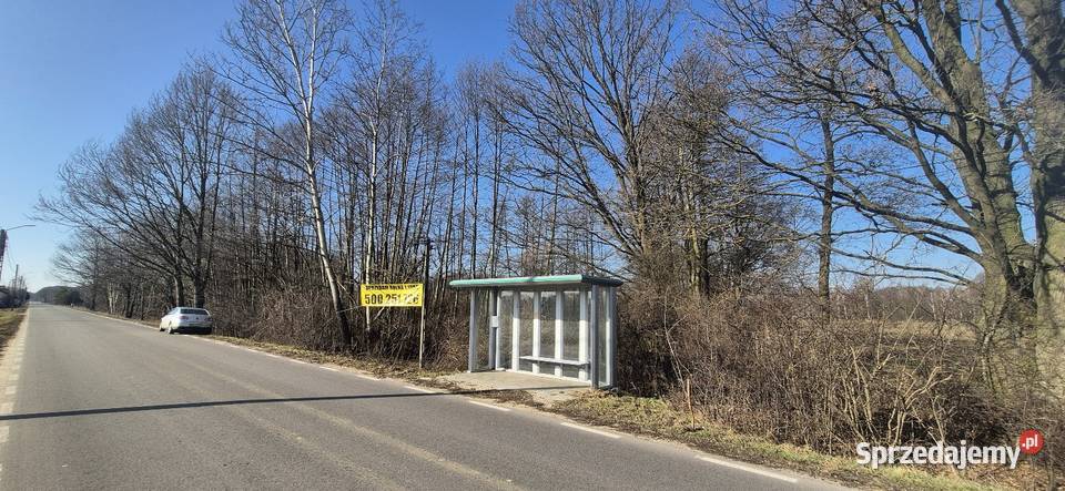 Działka rolna 11900m2 gmina Leoncin 11900m2 Secymin Polski