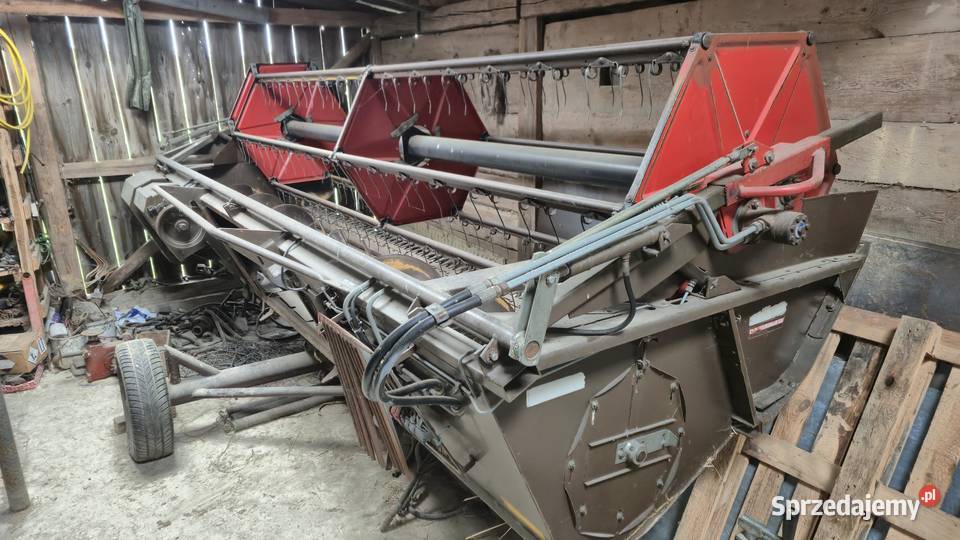 Massey ferguson 31 nieuszkodzony Żuków-Kolonia