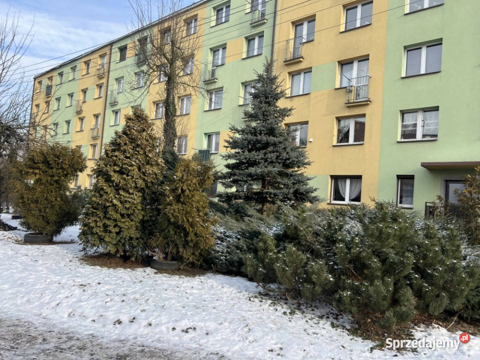 Słoneczne generalnym remoncie Bytom