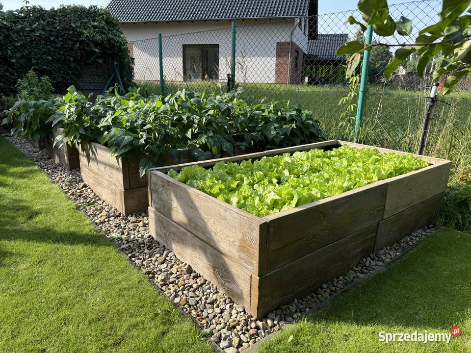 Warzywnik betonowy Podwyższone grządki betonowe Poznań sprzedam