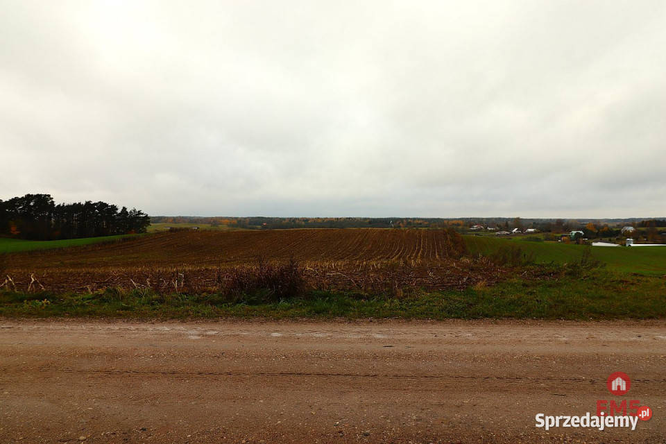 Działka 12000m2 Żegary 31zł/m2 Sprzedaż podlaskie sprzedam