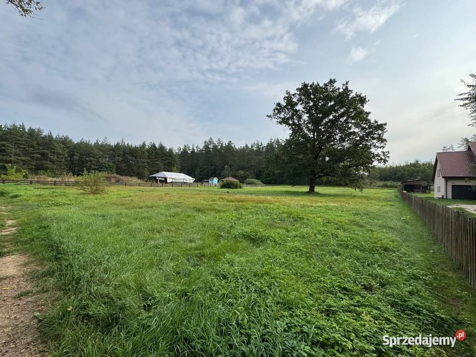 Działka budowlana o pow 3 499 m we wsi Jeże sprzedam
