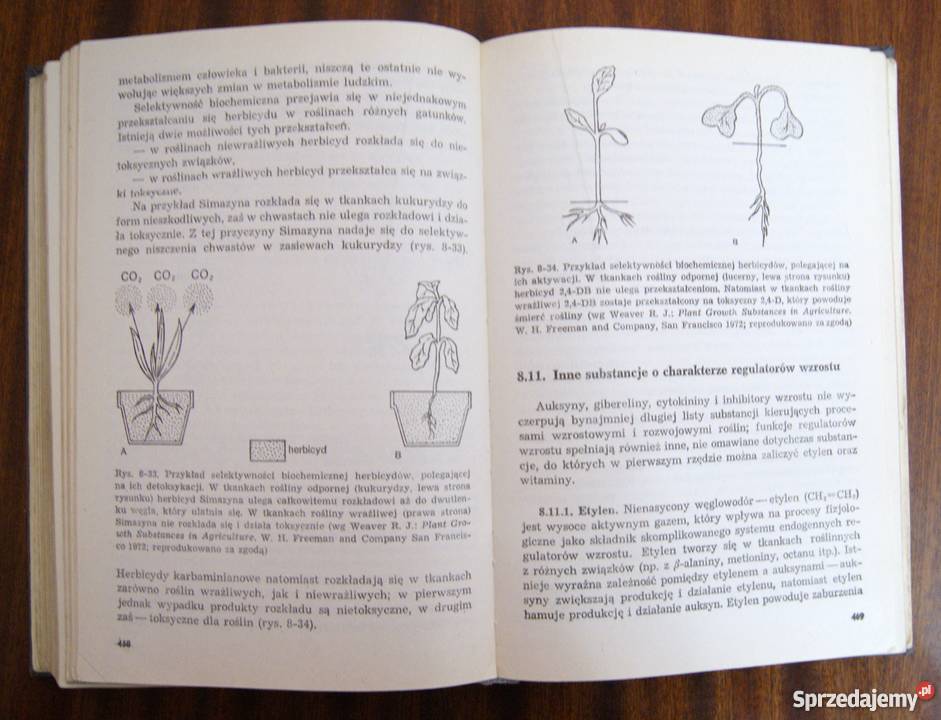 Witold Czerwiński Fizjologia roślin Rok wydania 1976 Parczew sprzedam