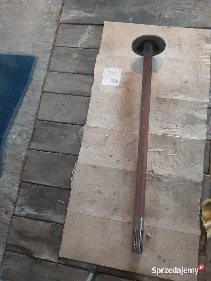 Półos star kujawsko-pomorskie Brodnica