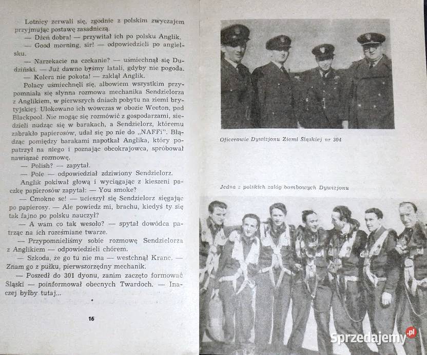 Dywizjon Ziemi Śląskiej 304 Władysław Chełm