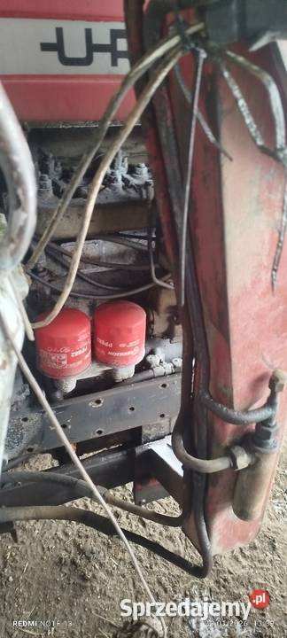 Ursus c385 lubelskie Potasznia