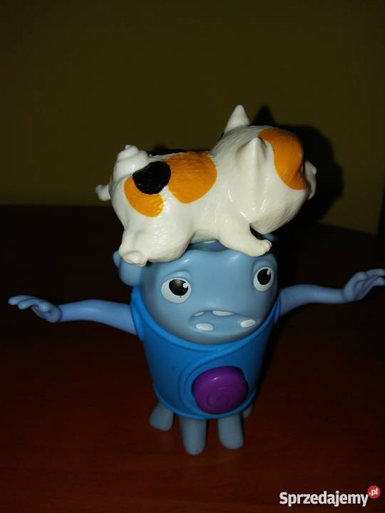 zimek z chomikiem Poznań