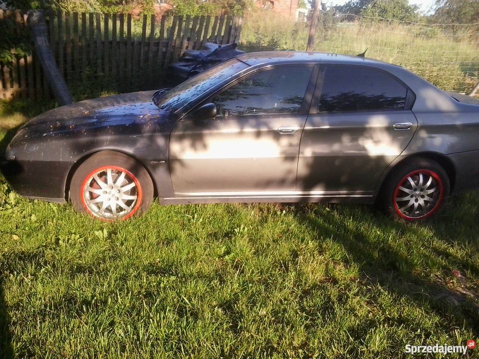 Fajna alfa zachodniopomorskie Chojna