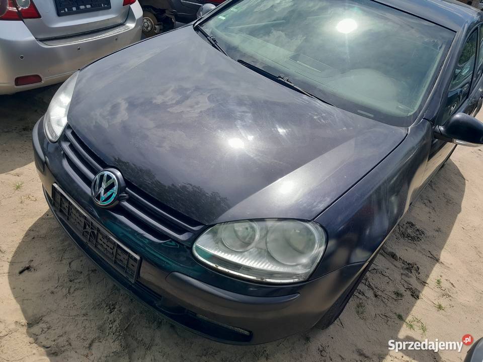 VW Golf V 16mpi 2004r z de 5drzwi klima benzyna Golf wielkopolskie Szamotuły