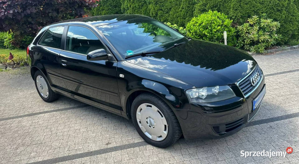 Audi A3 3drzwiowe Audi A3 8P 16 MPI 101 Czarna benzyna Wrocław